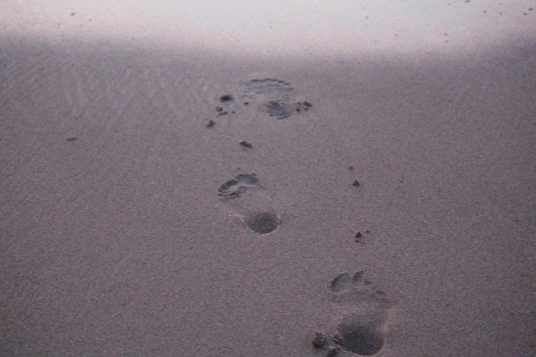 Footprints in the sand